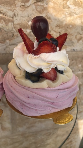 Pavlova revisiter