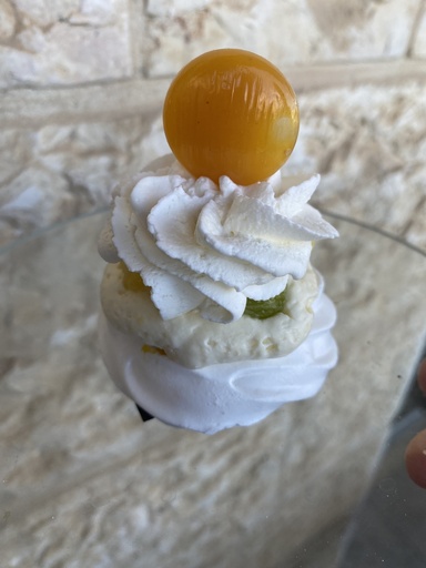 Pavlova spéciale